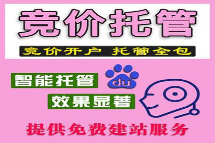 实战案例：SEM公司助力电商企业实现快速增长